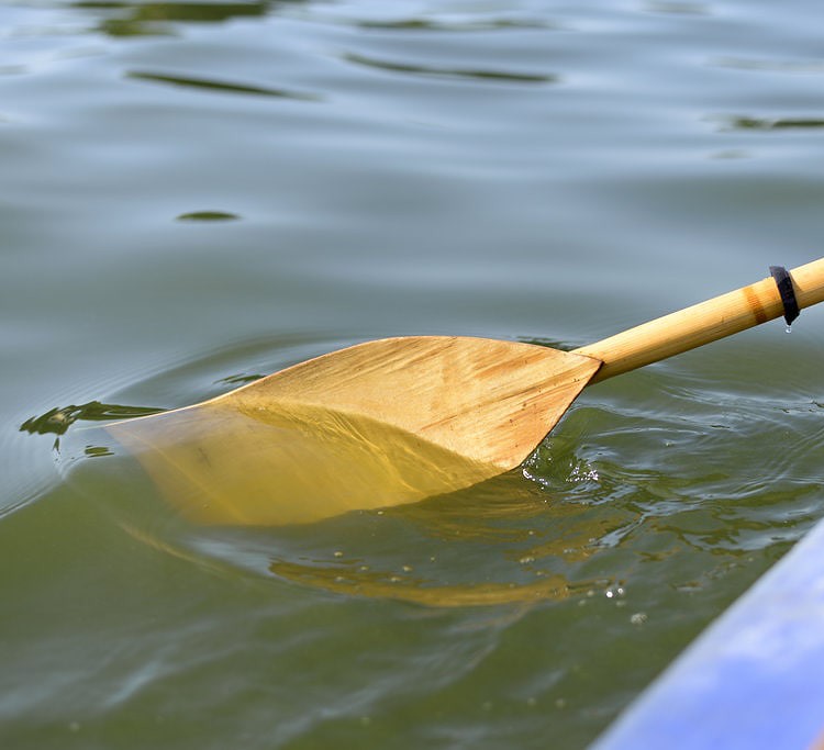 Wooden paddle in the water