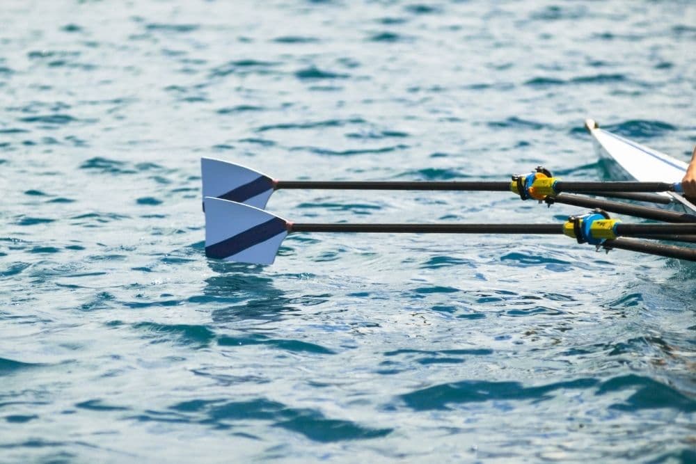 A Set of Oars in pontoon