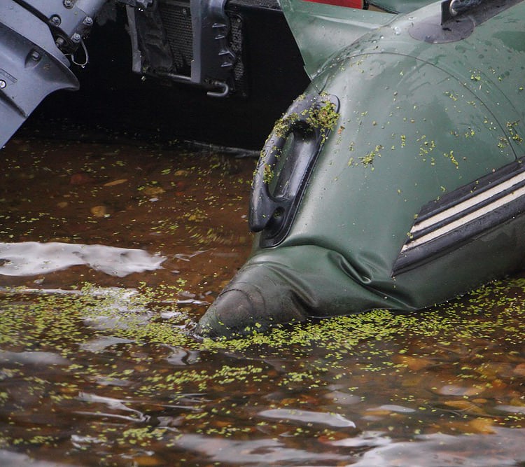 Do You Need Insurance For Inflatable Boats?