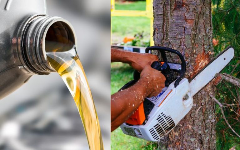 Can You Use Outboard Motor Oil in a Chainsaw?