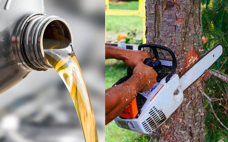 Can You Use Outboard Motor Oil in a Chainsaw? Anchor.Travel